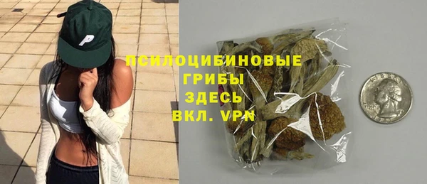 индика Армянск