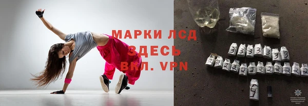 индика Армянск