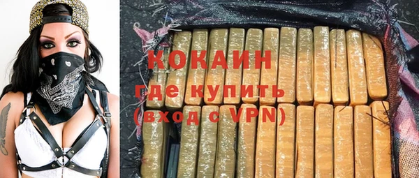 индика Армянск