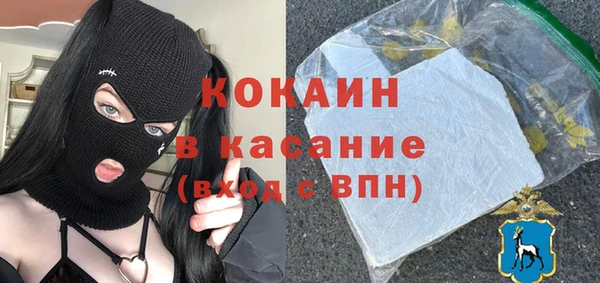 индика Армянск