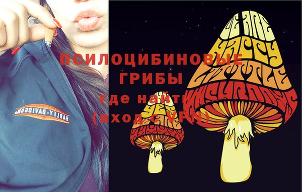 СК Арсеньев