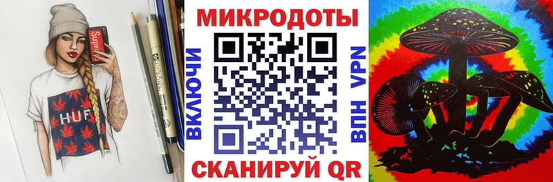 Купить  Красавино  Псилоцибиновые грибы Psilocybe 